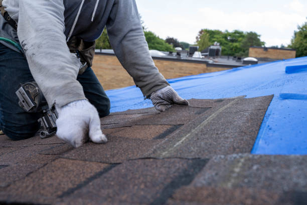 Best Roof Gutter Cleaning  in Norco, LA